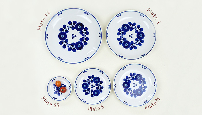 Comparing the sizes of Plate series of Bloom series