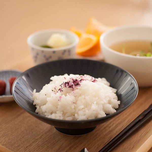 Modern design of navy Japanese rice bowl