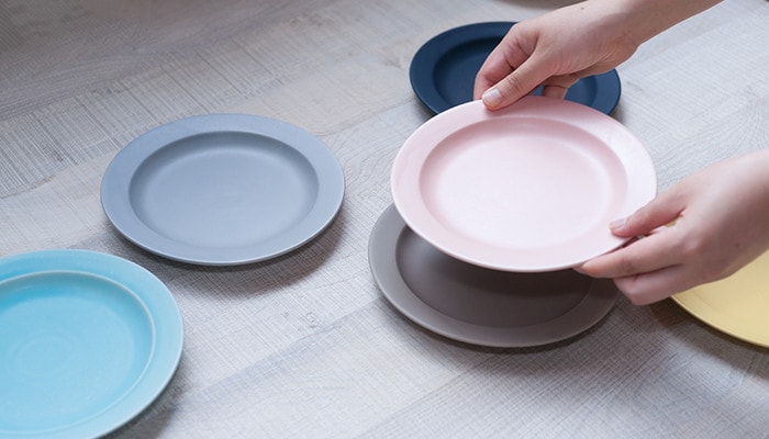 A woman has pink plate of colorful dinnerware DAYS